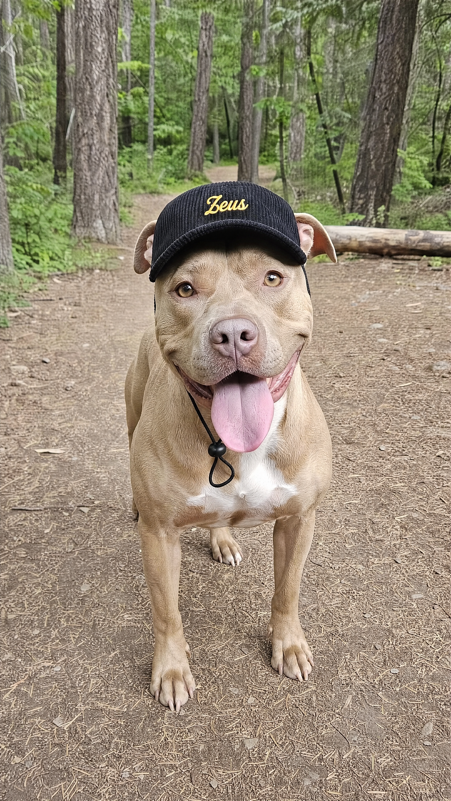 Fetchwearthreads™ - Pup Custom Cap
