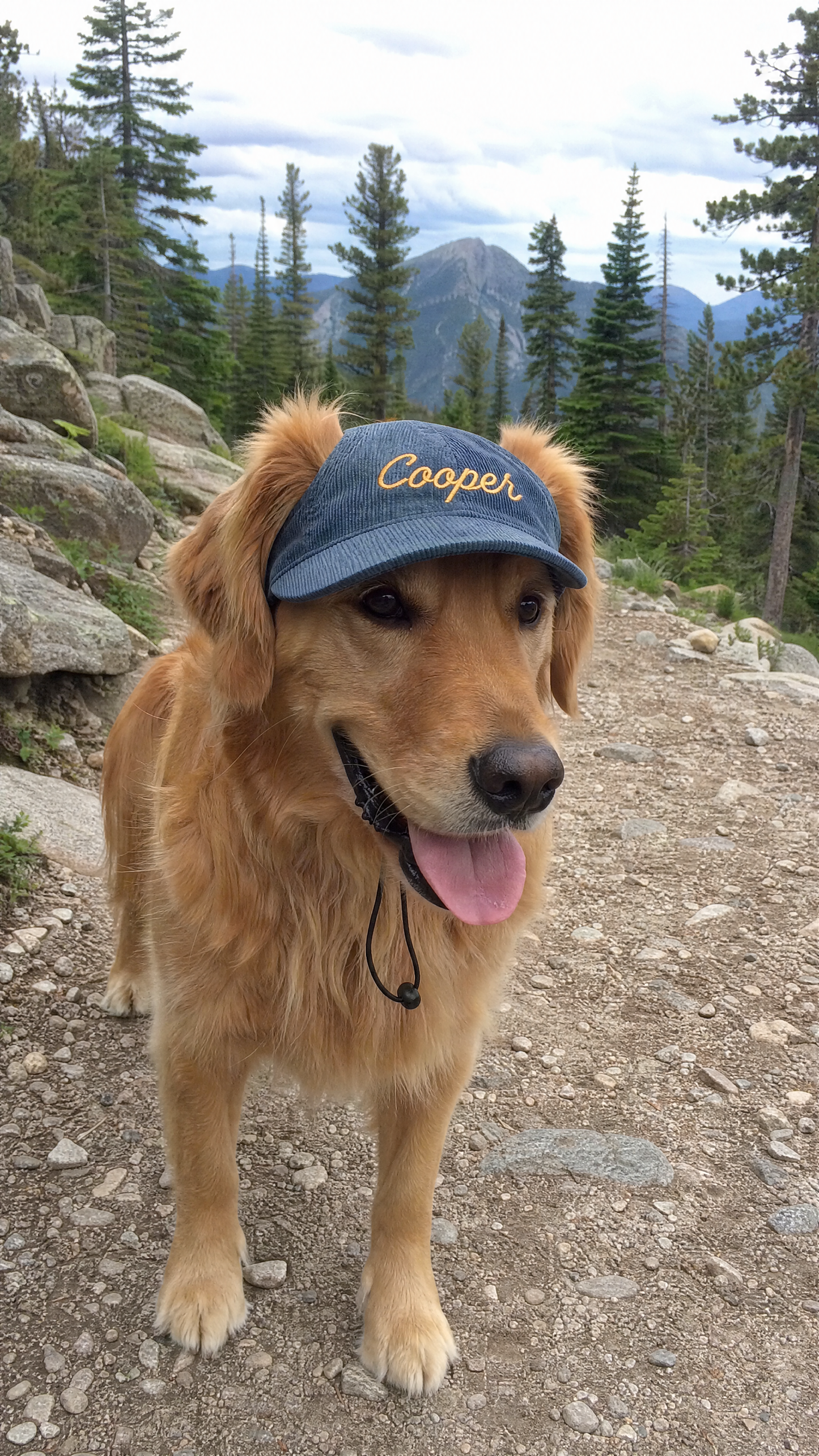 Fetchwearthreads™ - Pup Custom Cap
