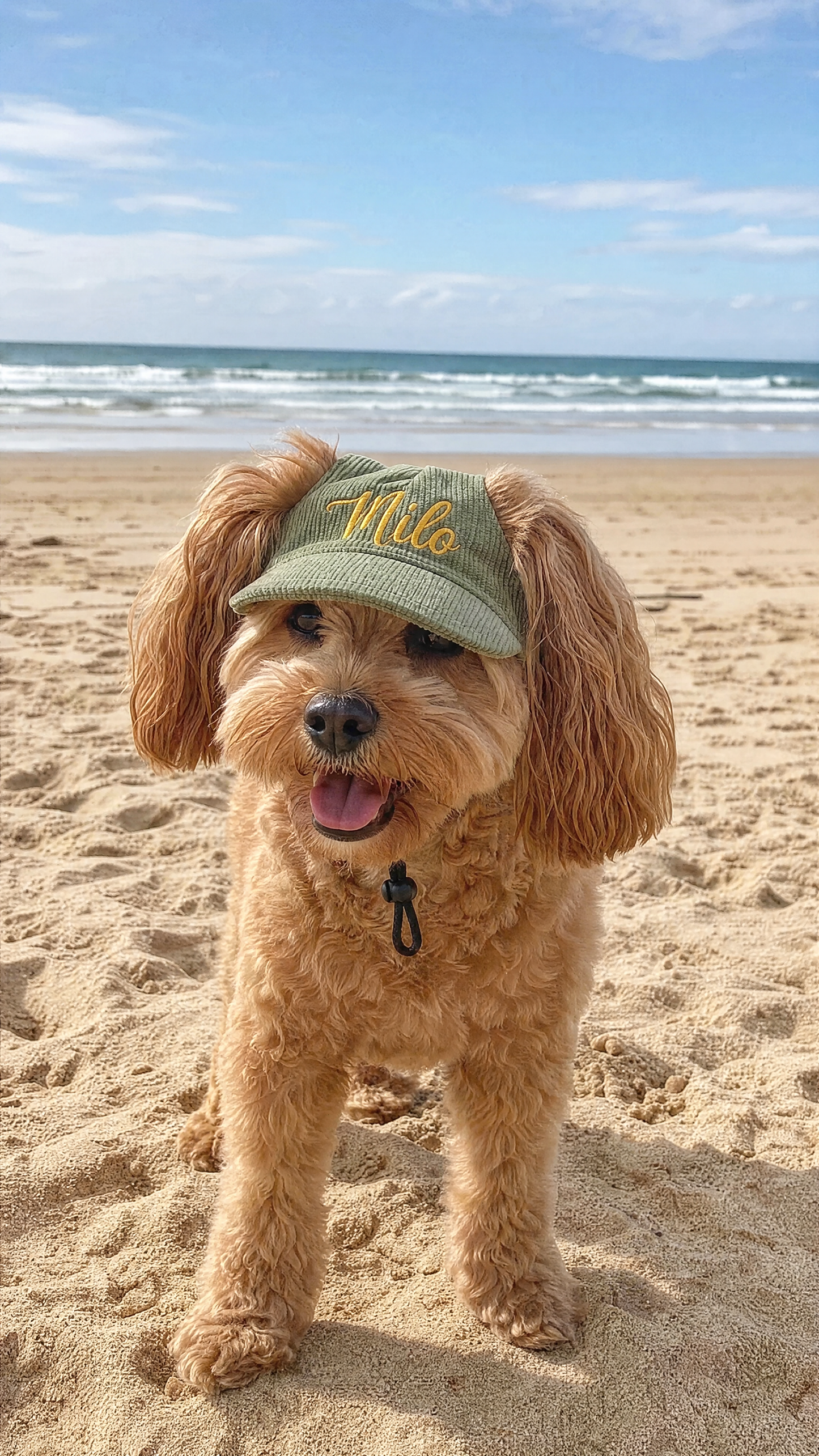 Fetchwearthreads™ - Pup Custom Cap